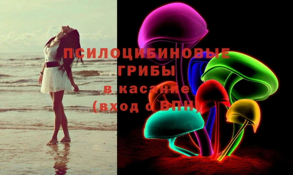 молекула духа Рославль