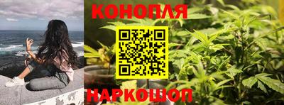 гашик Свободный
