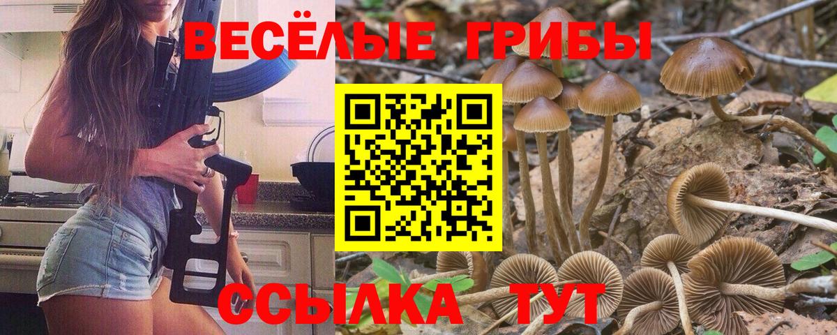 Галлюциногенные грибы мухоморы  Вход с VPN  Ртищево  Галлюциногенные грибы мухоморы 