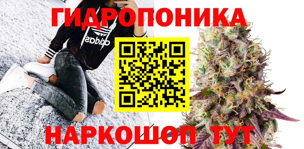 Шишки марихуана марихуана Ртищево